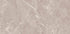 Grigio Grey Polished Wall and Floor Tile 24"x48"